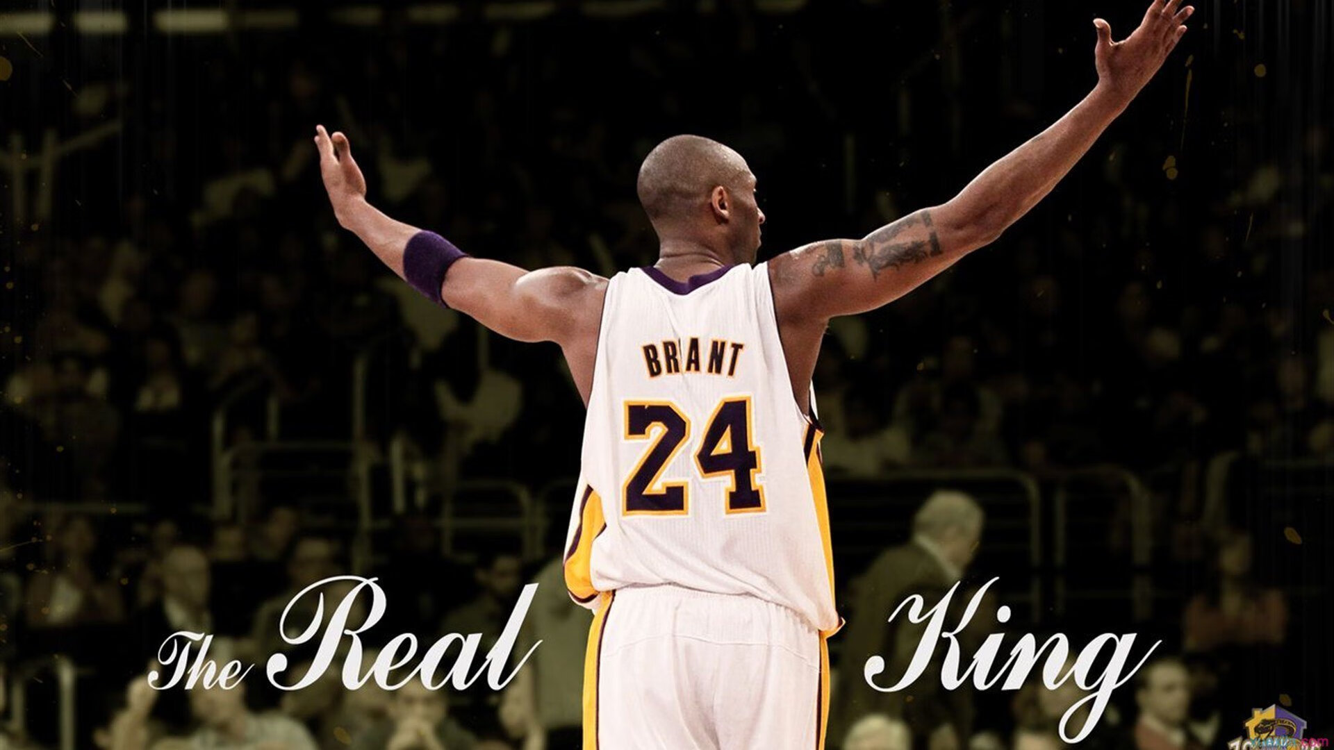 体育明星年度表现排行榜